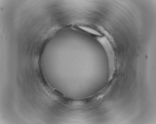 X0000088200209200706051240