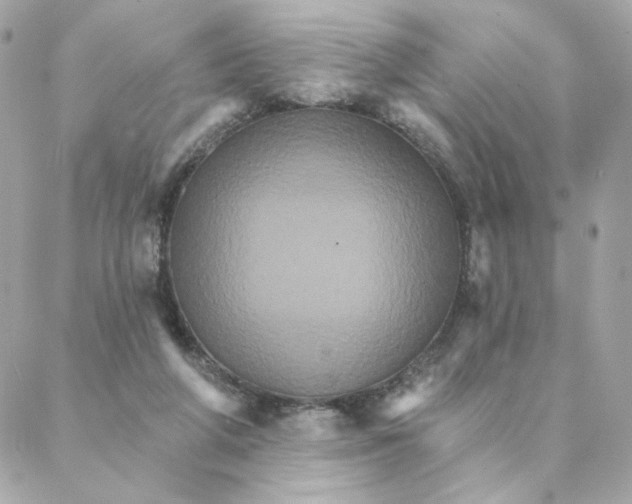 X0000088200210200706051240