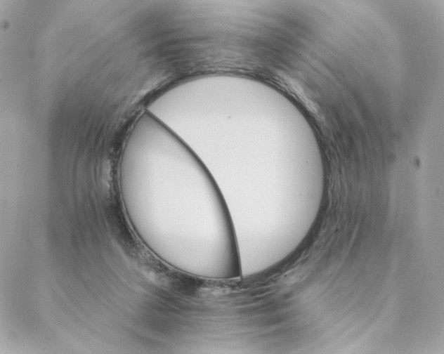 X0000088200211200706051240