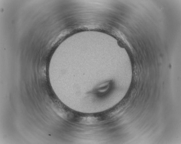 X0000088200212200706051240