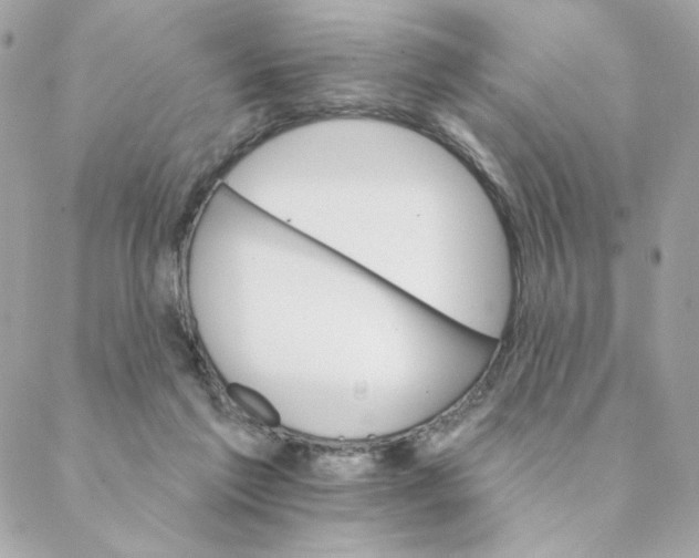 X0000088200213200706051240