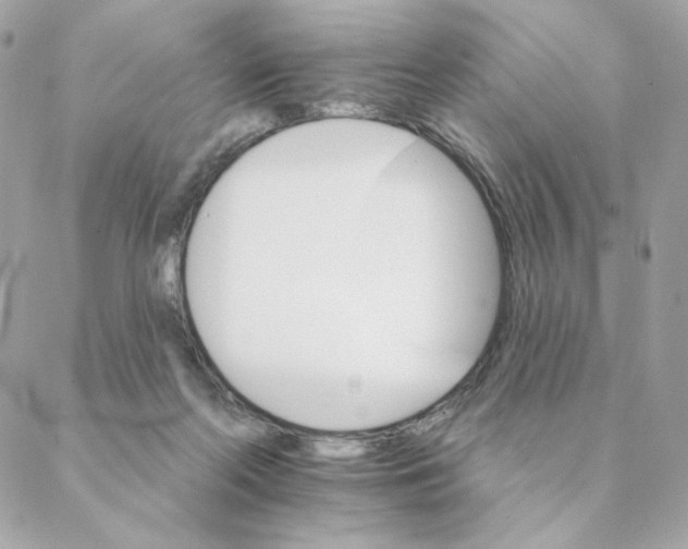 X0000088200214200706051240