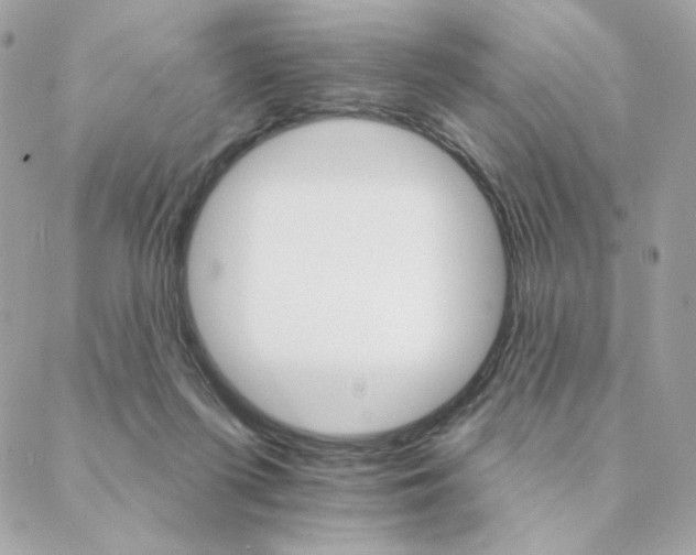 X0000088200215200706051240