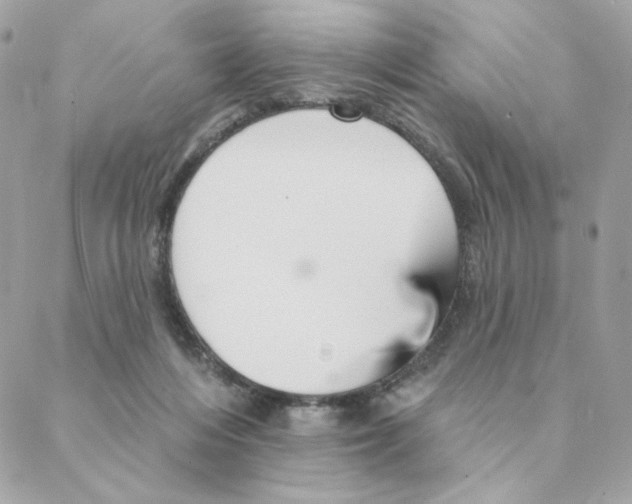 X0000088200216200706051240