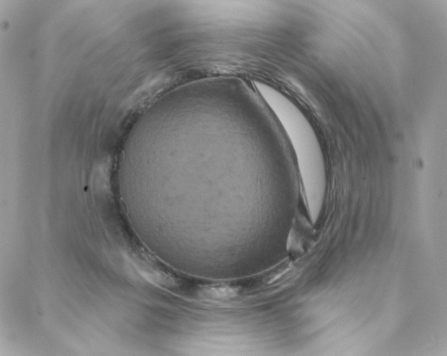 X0000088200217200706051240