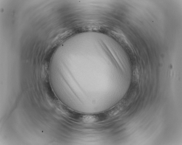 X0000088200218200706051240