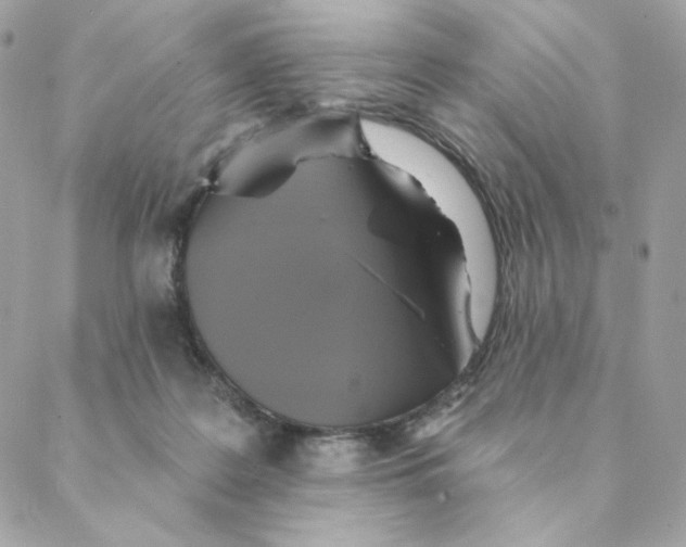 X0000088200219200706051240