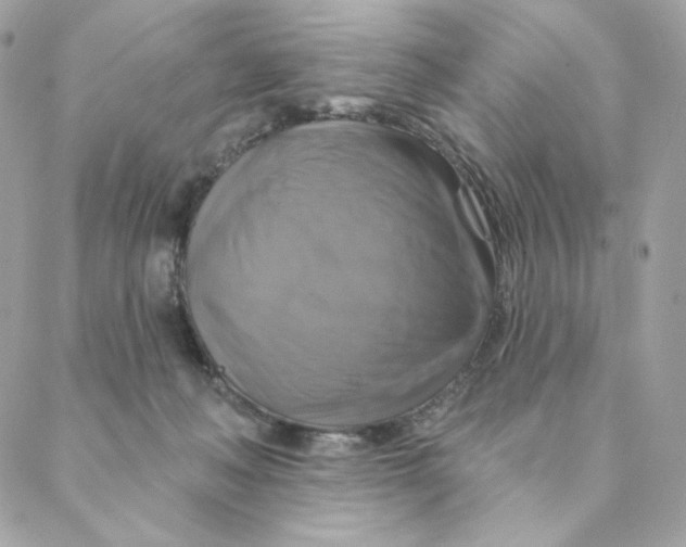 X0000088200222200706051240