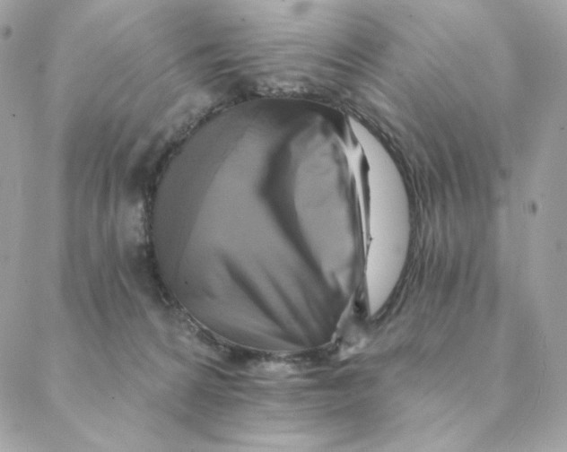 X0000088200224200706051240