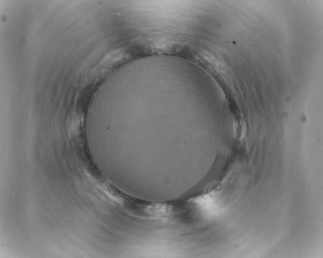 X0000088200225200706051240