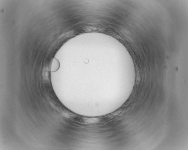 X0000088200226200706051240