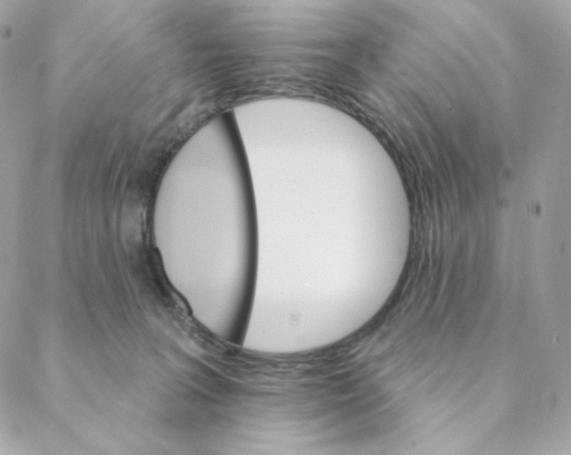 X0000088200227200706051240