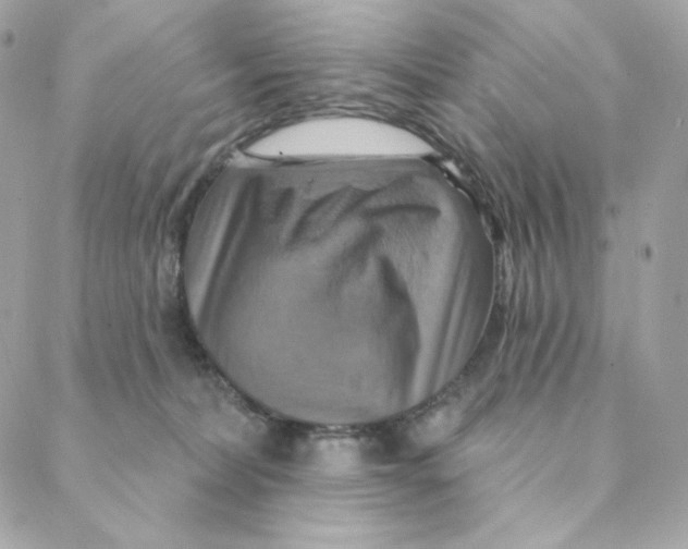 X0000088200228200706051240