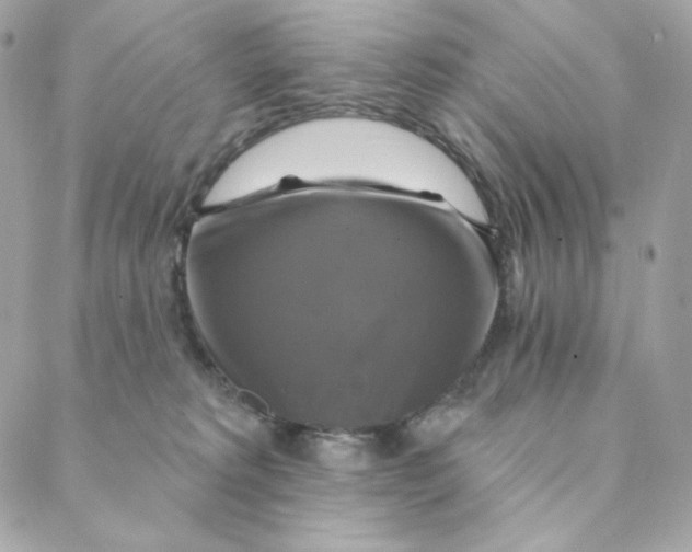 X0000088200229200706051240