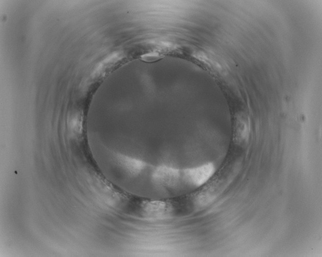 X0000088200230200706051240