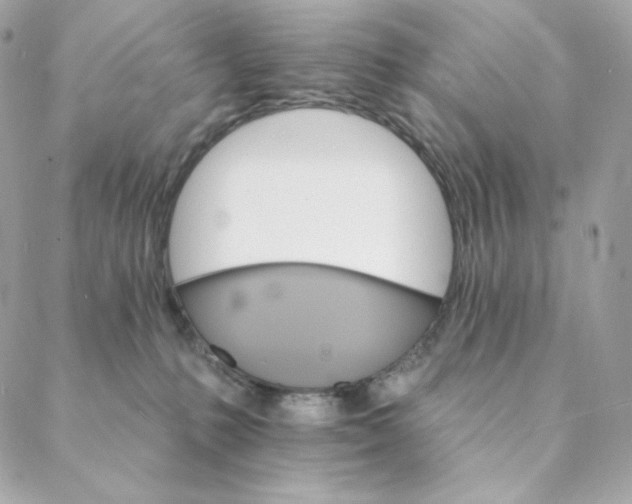 X0000088200231200706051240