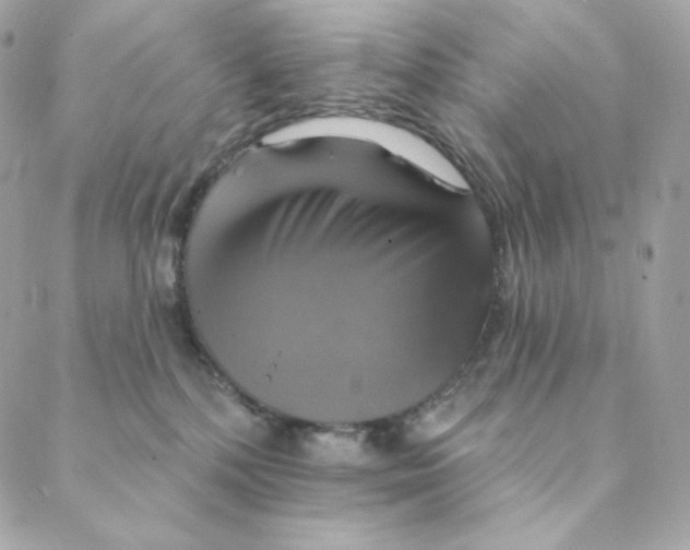 X0000088200232200706051240