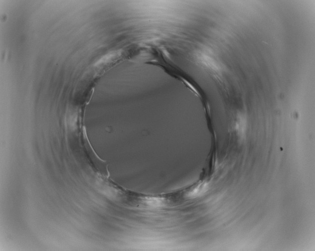 X0000088200233200706051240