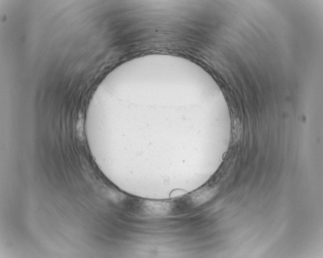 X0000088200234200706051240