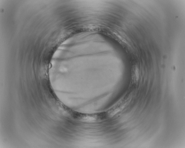 X0000088200236200706051240