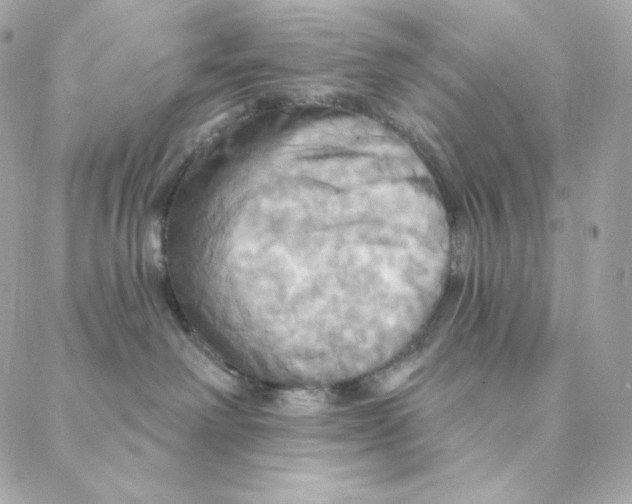 X0000088200238200706051239