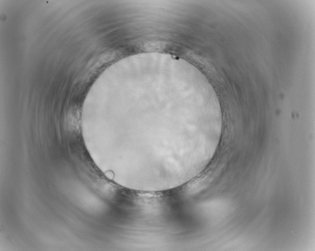 X0000088200240200706051239