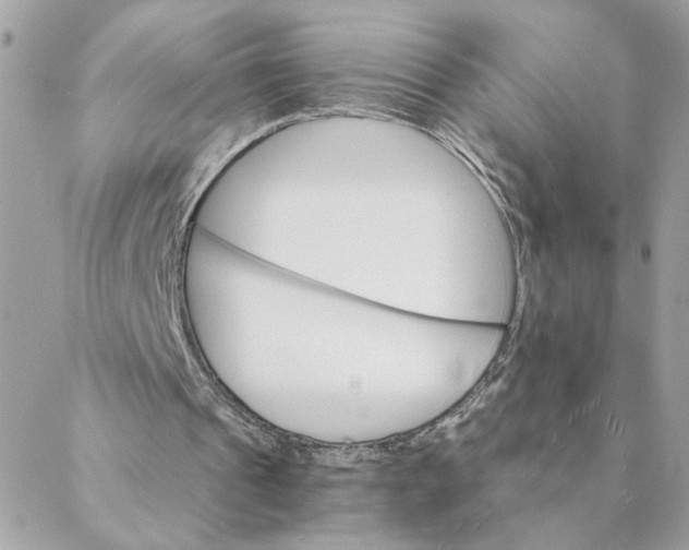 X0000088200241200706051239