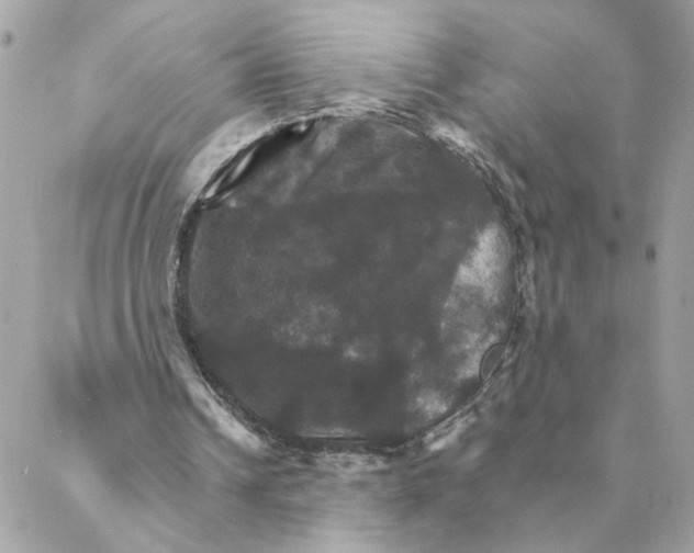 X0000088200242200706051239