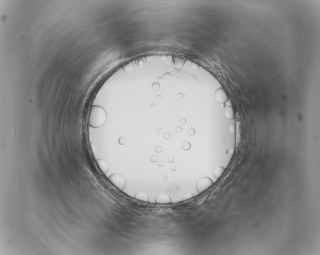 X0000088200243200706051239