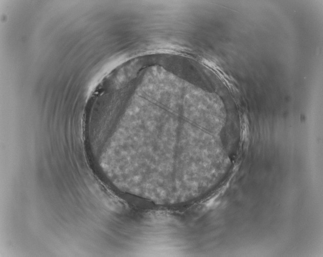 X0000088200244200706051239