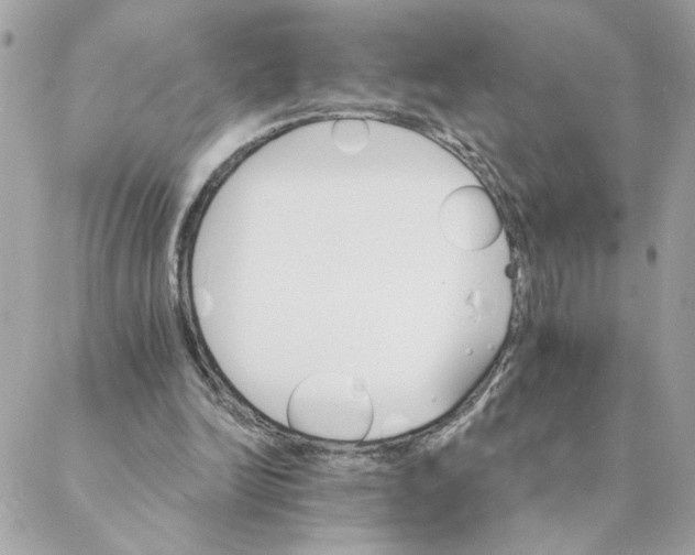 X0000088200246200706051239