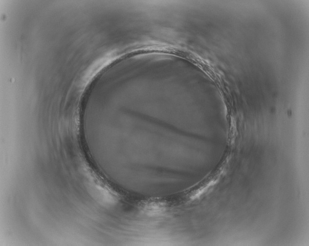 X0000088200247200706051239