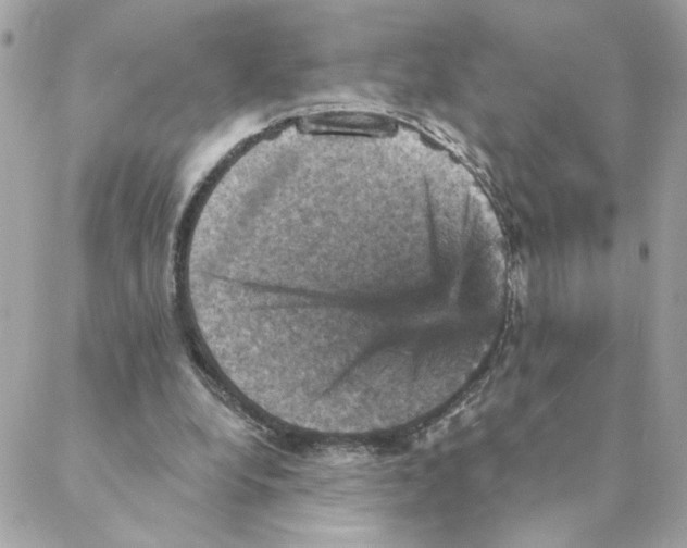 X0000088200248200706051239