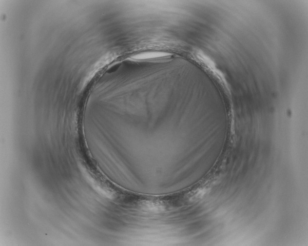 X0000088200250200706051239