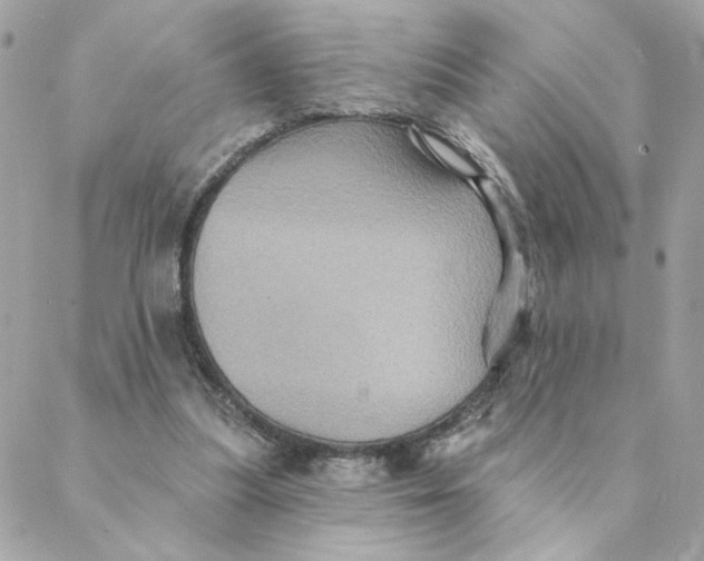 X0000088200251200706051239