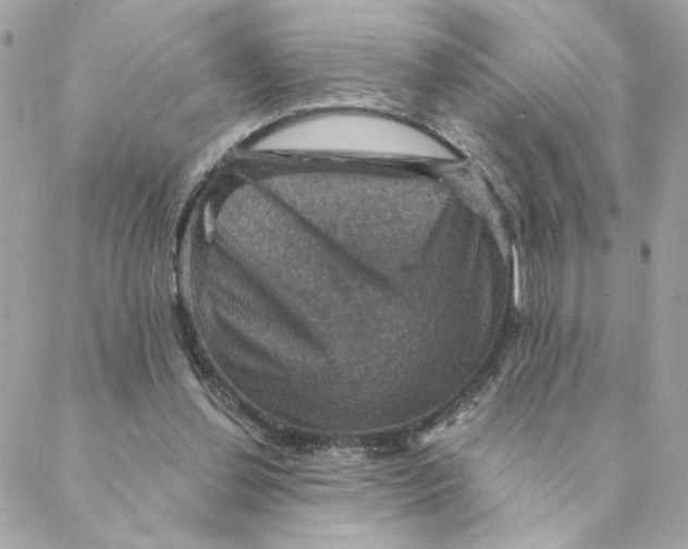 X0000088200252200706051239