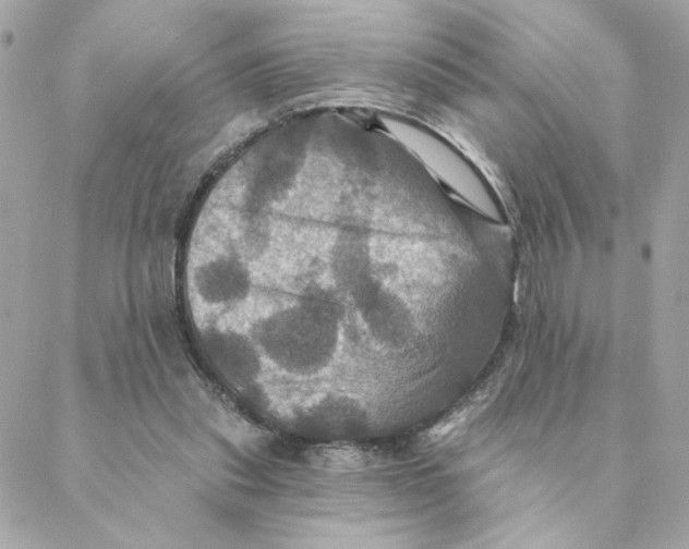 X0000088200253200706051239