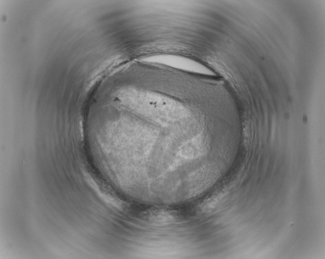 X0000088200254200706051239