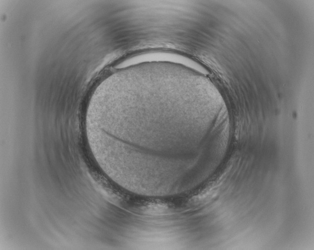 X0000088200256200706051239