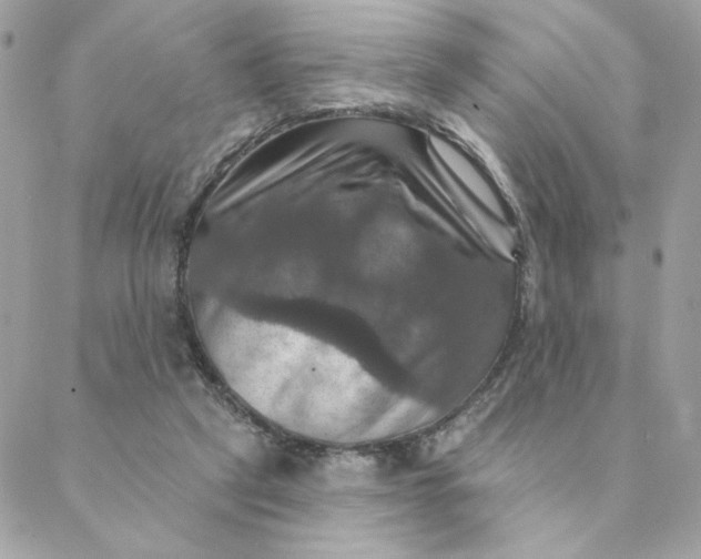 X0000088200257200706051239