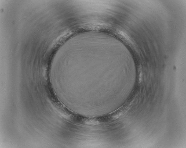 X0000088200258200706051239