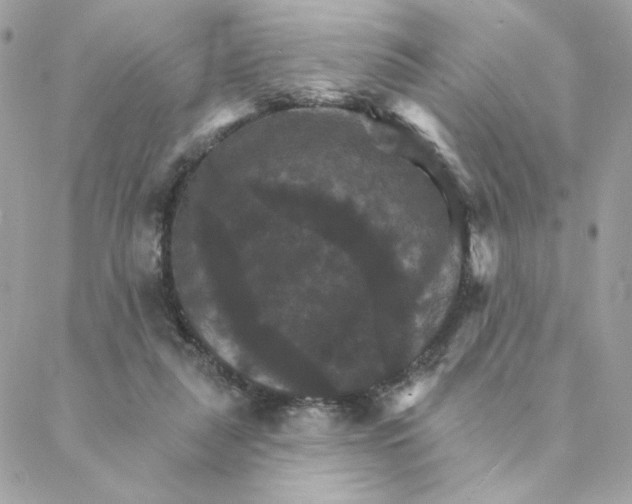 X0000088200259200706051239