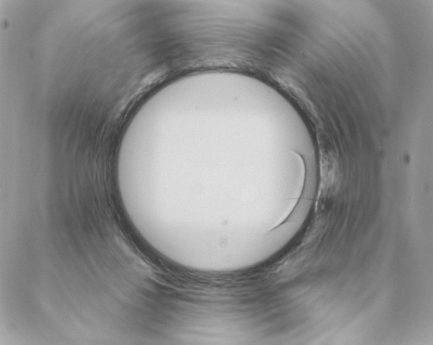 X0000088200260200706051239