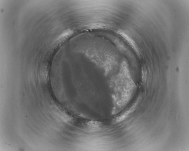 X0000088200261200706051239