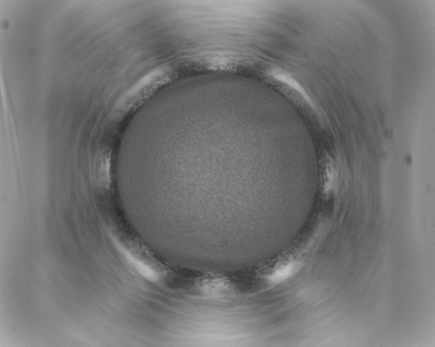 X0000088200262200706051239