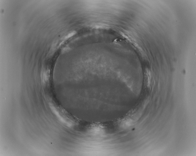 X0000088200263200706051239