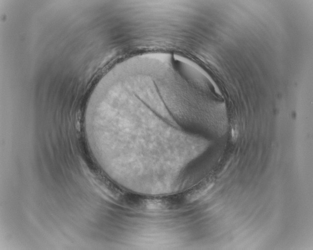 X0000088200264200706051239