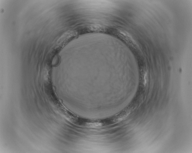 X0000088200266200706051239