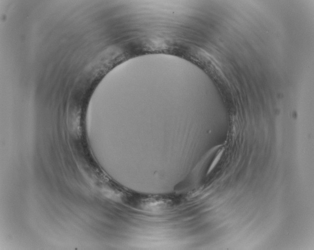 X0000088200267200706051239