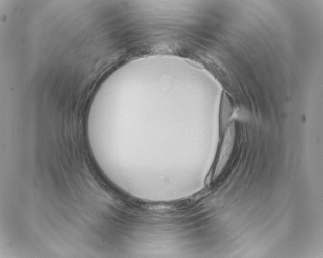 X0000088200268200706051239